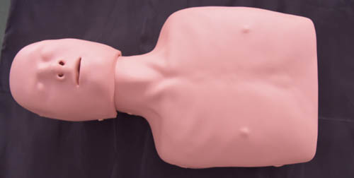 HY-CPR120  簡(jiǎn)易心肺復(fù)蘇訓(xùn)練模型